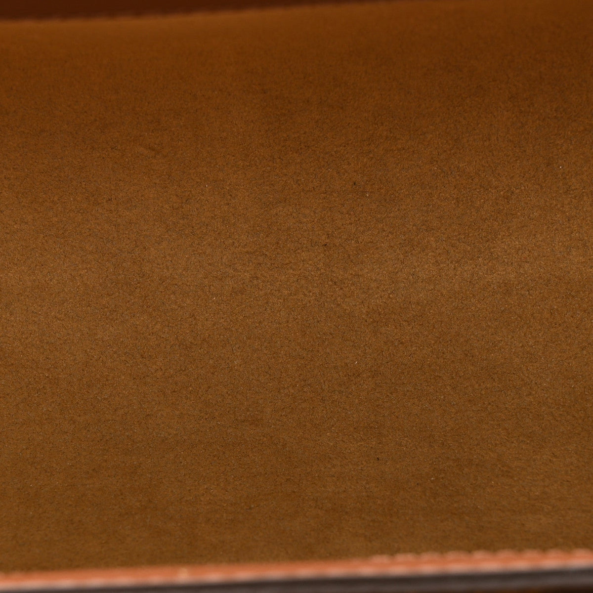 Monogram Papillon Trunk
