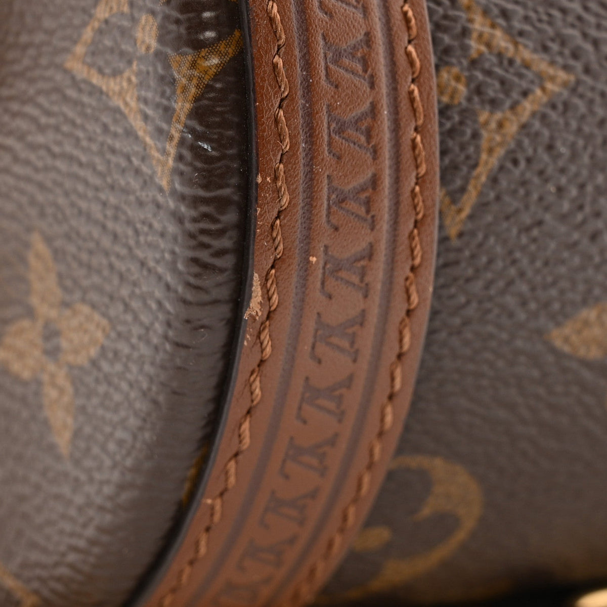 Monogram Papillon Trunk